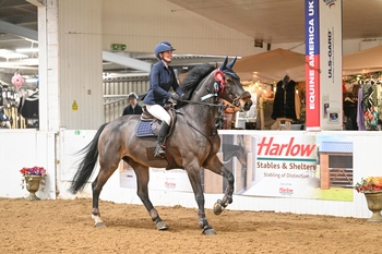 A polished performance earns Elle Godber victory in the SEIB winter Novice Championship Qualifier at Arena UK’s Winter Classic 